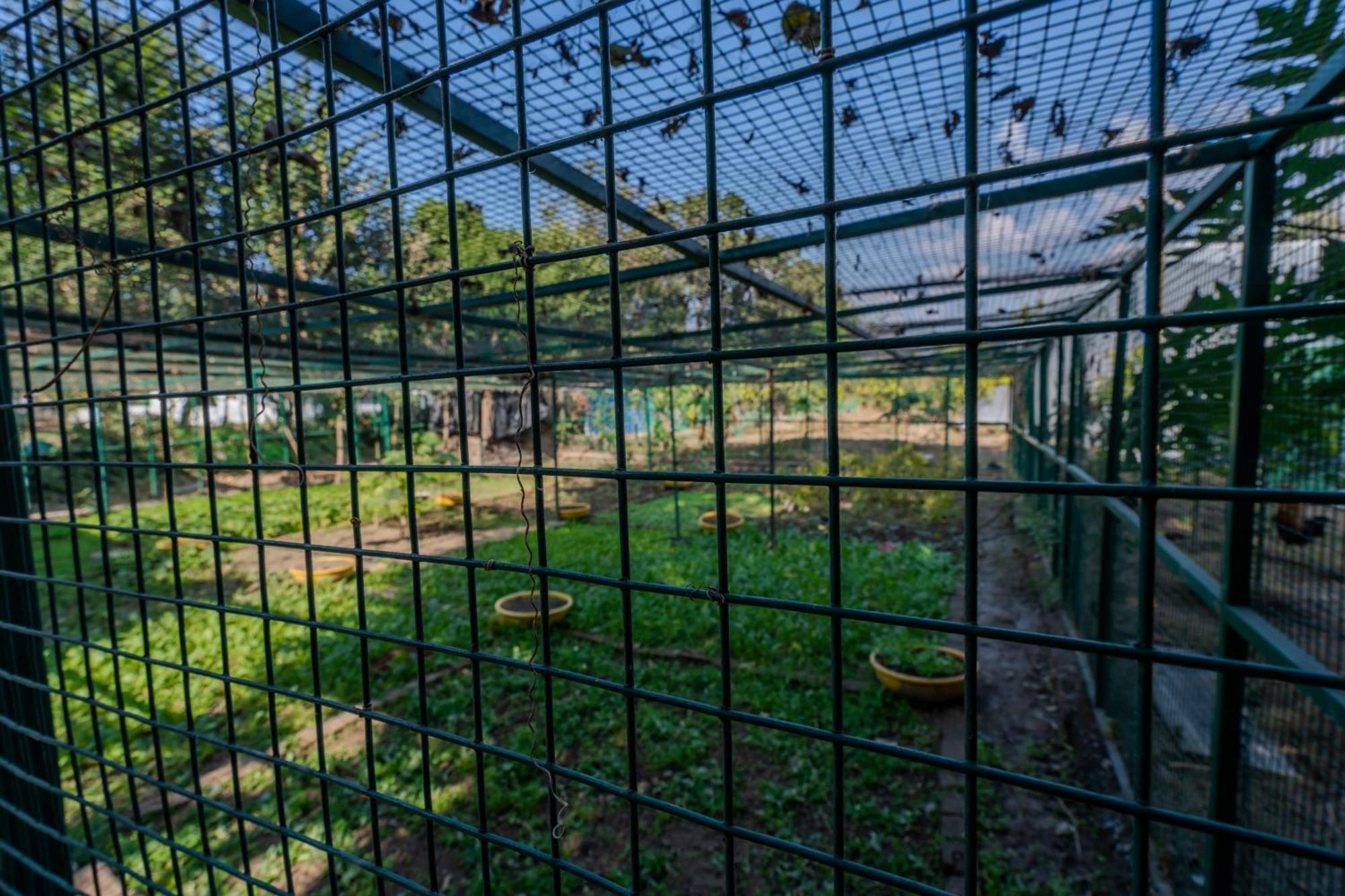 Saffronstays Timber Crest Dehradun Zewnętrze zdjęcie